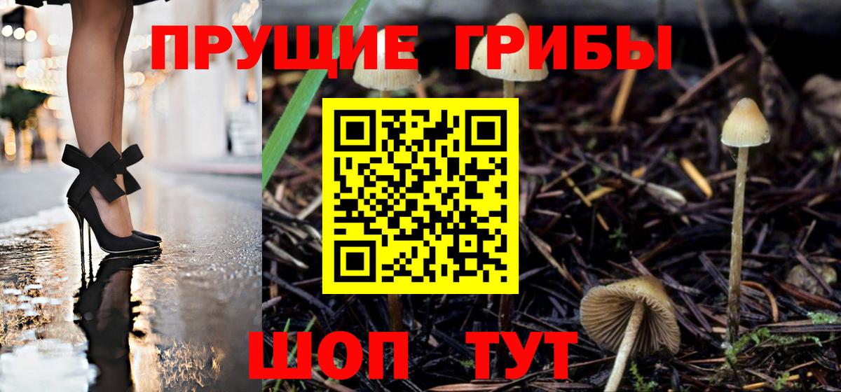 Галлюциногенные грибы мицелий  Вход с VPN  Сафоново 